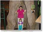 20080911_12_16_49-01 * Mommy takes me to the Nature Museum for my Birthday. * 1200 x 900 * (156KB)