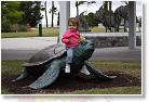 20080512_12_34_40-02 * A big Turtle to climb on.. I like Turtles. * 3888 x 2592 * (8.62MB)